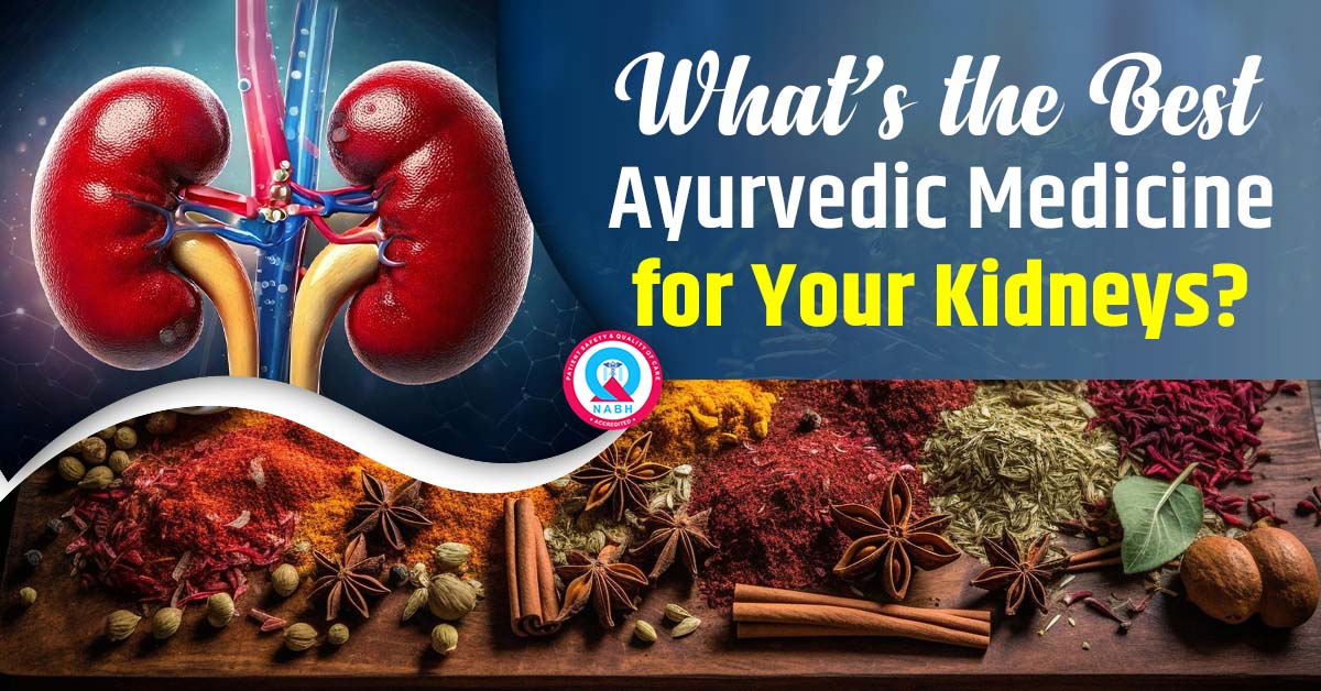 what-is-the-best-ayurvedic-medicine-for-your-kidneys